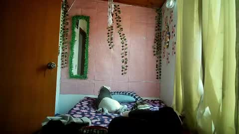 Snapshot of callme_lolas chatting on 20, 4, 2026 paula online show from 20, 4, 2026