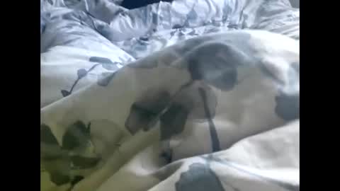 Snapshot of callmedaddyyouslut44 chatting on 2, 3, 2026 callmedaddyyouslut44 online show from 2, 3, 2026