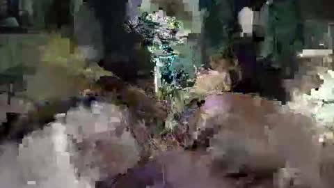CameronRays online show from 25, 4, 2026