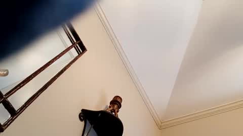 camerontaylorcub online show from 3, 12, 2024