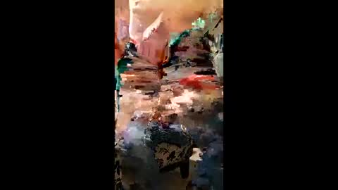 camerontaylorcub online show from 30, 3, 2026