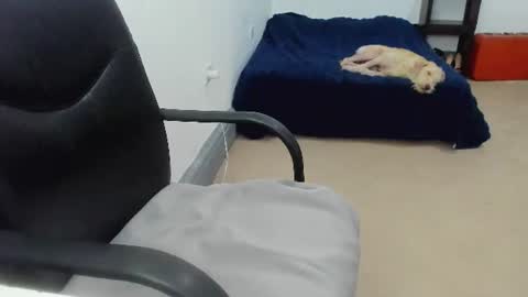 Cami online show from 10, 7, 2026