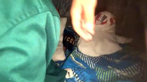 camivaron online show from 13, 1, 2025