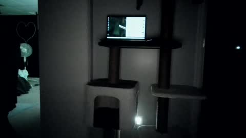 cammyman6900 online show from 27, 7, 2026
