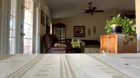 Snapshot of camperjay chatting on 30, 1, 2025 james online show from 30, 1, 2025