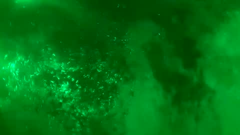 Daddy online show from 18, 1, 2025