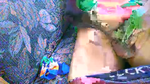 7777 online show from 2, 3, 2025