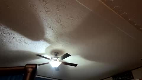 Snapshot of candicewlahna chatting on 12, 9, 2025 candicewlahna online show from 12, 9, 2025