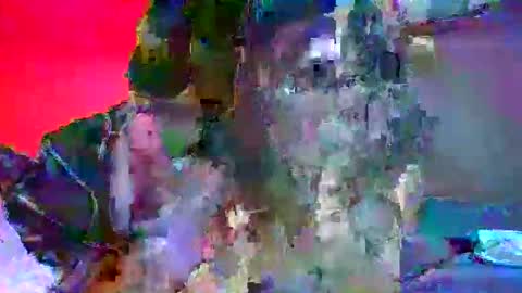 candy kyle online show from 2, 10, 2025