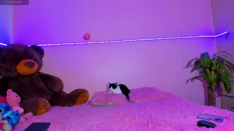 Onika   instagram   canndy888  online show from 12, 10, 2025