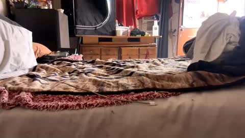 Bbc always ready balls insta bmac capone online show from 28, 11, 2025