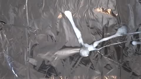 captainzoomvoom online show from 12, 3, 2026