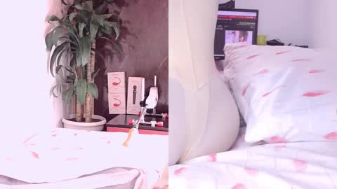 Carol online show from 18, 3, 2026