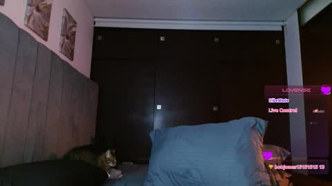 Carolinne online show from 27, 2, 2025