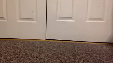 cash13bychanel online show from 23, 1, 2025