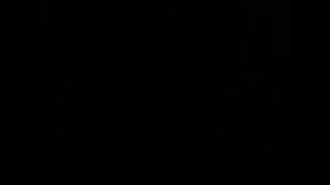 Cashew online show from 8, 1, 2025