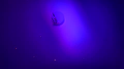 casidy1 online show from 21, 1, 2025