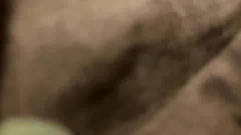 casidy1 online show from 2, 2, 2025