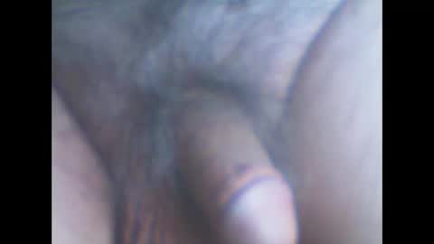 castells online show from 22, 10, 2025