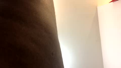 catpixel online show from 17, 9, 2025