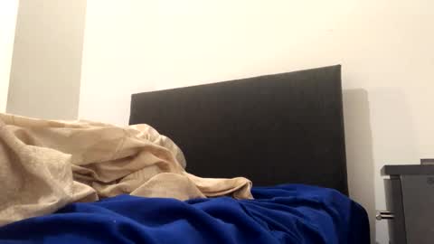 catpixel online show from 2, 10, 2025