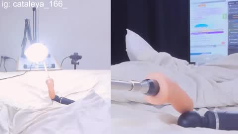 Cattleya Annie  online show from 21, 2, 2025