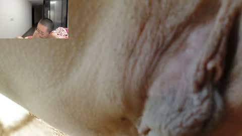 Snapshot of cbz112233 chatting on 25, 6, 2026 ANNYANNY online show from 25, 6, 2026