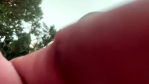 ccs13200 online show from 6, 1, 2026