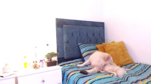 Cedrixx10 online show from 16, 12, 2025