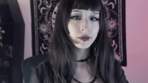   online show from 11, 6, 2026
