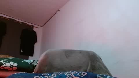 cesar_master_ online show from 18, 4, 2026