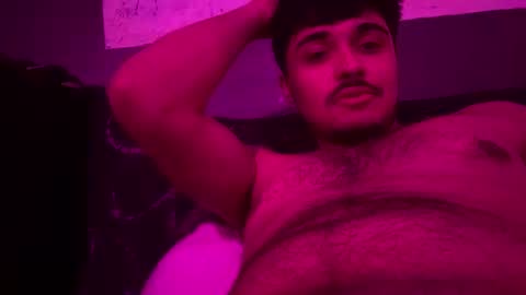 cezarthebreeder online show from 26, 2, 2026