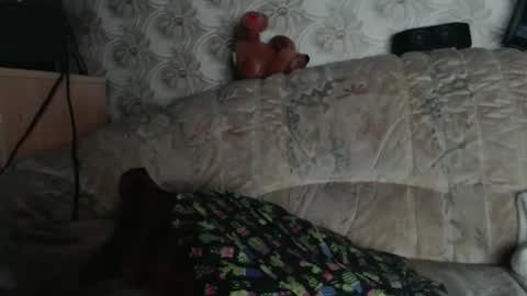 chacoa online show from 18, 1, 2026