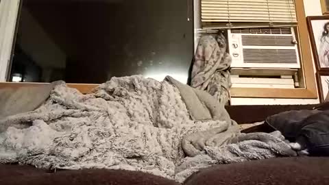 Chad420247 online show from 11, 2, 2026