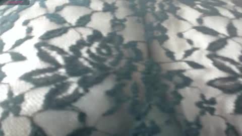 Snapshot of chanell15 chatting on 16, 12, 2024 Fabi online show from 16, 12, 2024