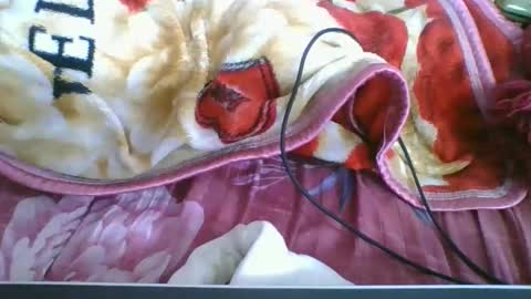 Snapshot of chantale483461 chatting on 10, 5, 2026 chantale483461 online show from 10, 5, 2026