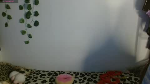 Snapshot of charlotbelucci_ chatting on 13, 5, 2026 Ale punky online show from 13, 5, 2026