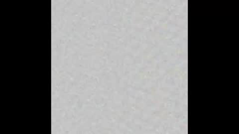 Charlotte online show from 8, 10, 2025