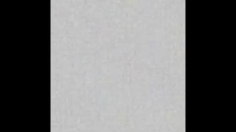 Charlotte online show from 9, 10, 2025