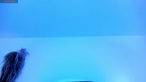 Charlotte  Everyday From 0700 to 1300 Col Time online show from 12, 10, 2025