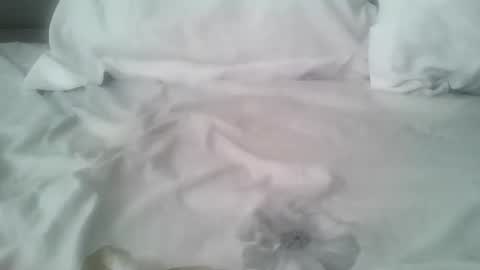 chatusandy26 online show from 14, 2, 2026