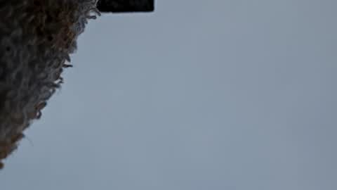 Snapshot of cheffydl chatting on 9, 11, 2025 cheffydl online show from 9, 11, 2025