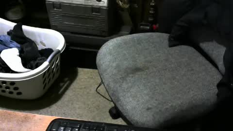 chefy online show from 12, 2, 2025