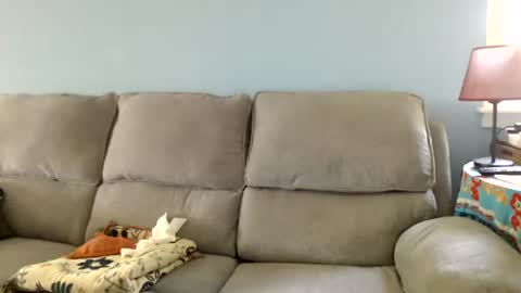 Snapshot of chelseasentra1 chatting on 16, 7, 2026 Chelsea online show from 16, 7, 2026