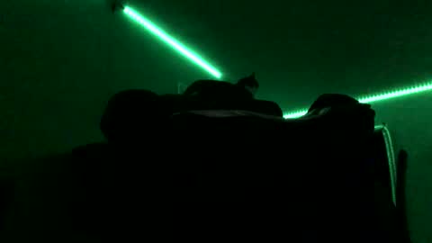 chenovich online show from 16, 11, 2025