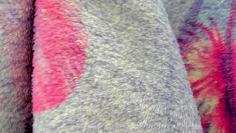 Snapshot of cherry_pussy1 chatting on 6, 10, 2025 Mia online show from 6, 10, 2025