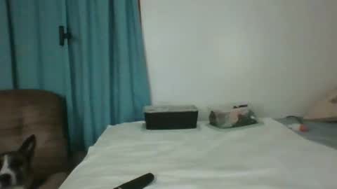 Snapshot of chevybear69 chatting on 11, 6, 2026 Jade and Thomas online show from 11, 6, 2026