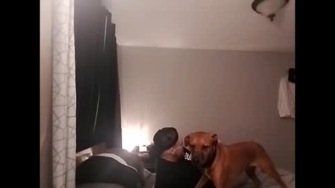 cheyrann online show from 3, 11, 2025