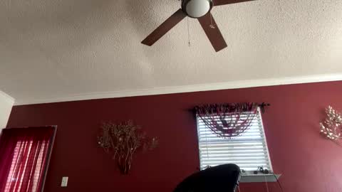 CHINO online show from 24, 2, 2026