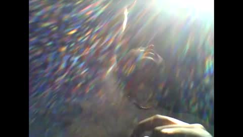 CHINO online show from 11, 4, 2026